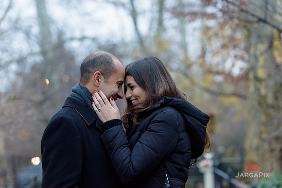 The_Heart_Bandits_Proposal_Basil_Jessica-080