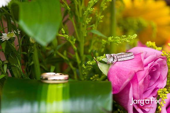 JargaPix Photography Wedding Gallery - New Jersey