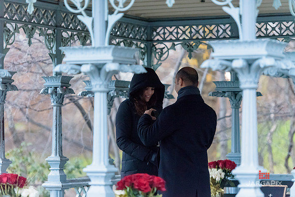 The_Heart_Bandits_Proposal_Basil_Jessica-039