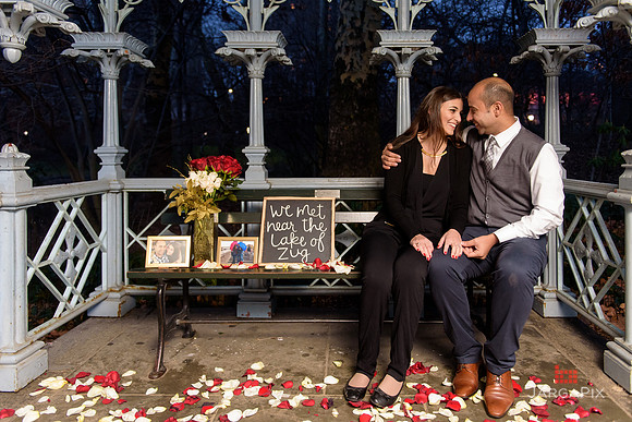 The_Heart_Bandits_Proposal_Basil_Jessica-135