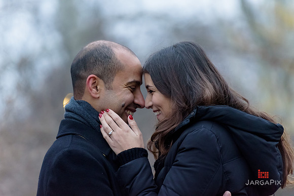 The_Heart_Bandits_Proposal_Basil_Jessica-086