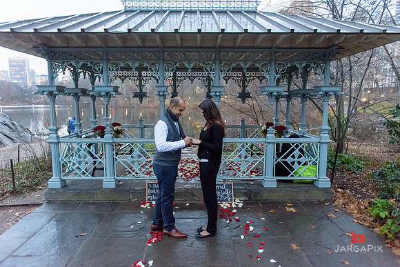 The_Heart_Bandits_Proposal_Basil_Jessica-113