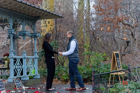 The_Heart_Bandits_Proposal_Basil_Jessica-092