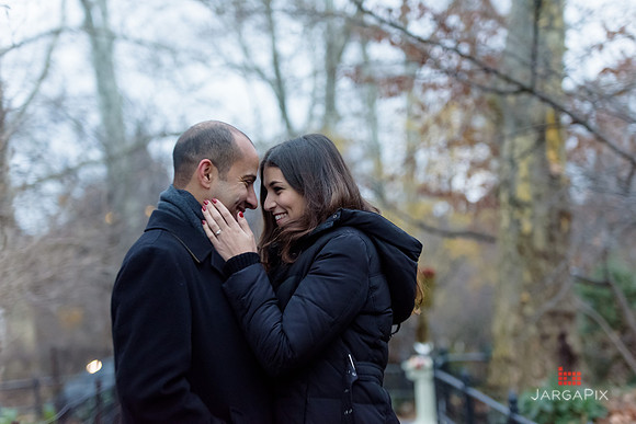 The_Heart_Bandits_Proposal_Basil_Jessica-082