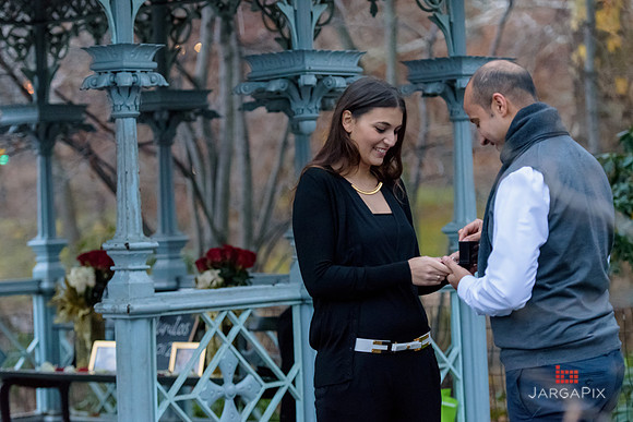The_Heart_Bandits_Proposal_Basil_Jessica-098