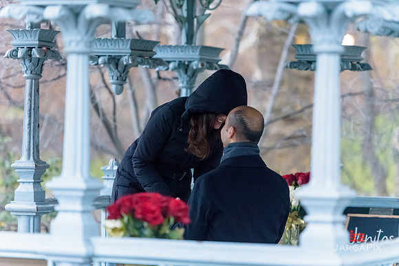 The_Heart_Bandits_Proposal_Basil_Jessica-046