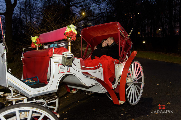 The_Heart_Bandits_Proposal_Basil_Jessica-145