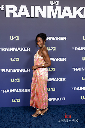 Hudson_Gray_The_Rainmaker_Screening-143