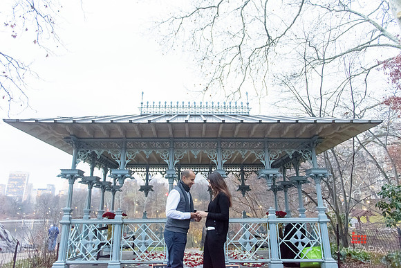 The_Heart_Bandits_Proposal_Basil_Jessica-111