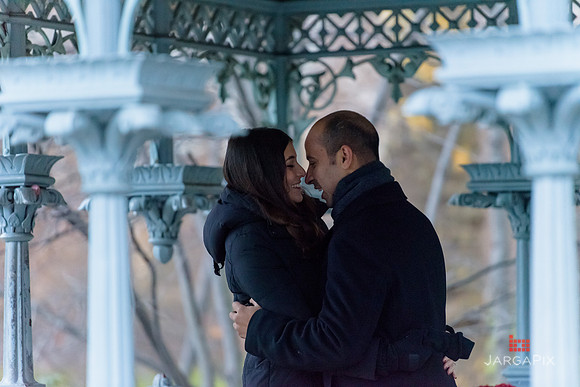 The_Heart_Bandits_Proposal_Basil_Jessica-053
