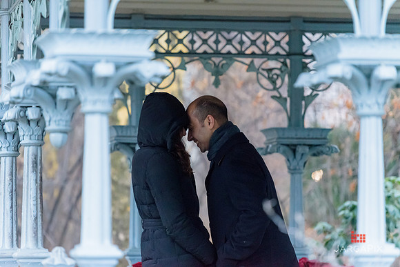 The_Heart_Bandits_Proposal_Basil_Jessica-038