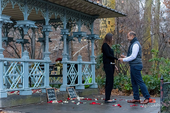 The_Heart_Bandits_Proposal_Basil_Jessica-094