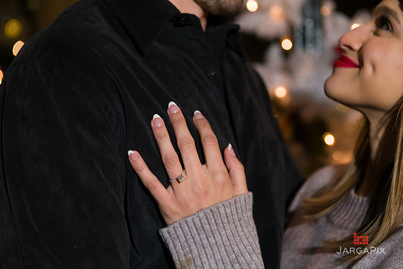 Sean_Adrie_Proposal_Bryant_Park-082