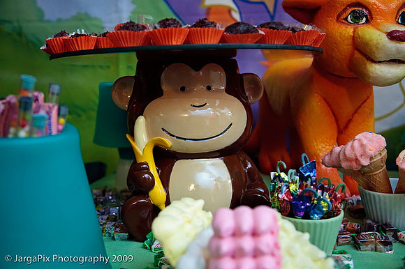 Dream_World_Parties_Diego_Theme-018.jpg