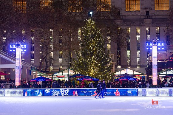Sean_Adrie_Proposal_Bryant_Park-023