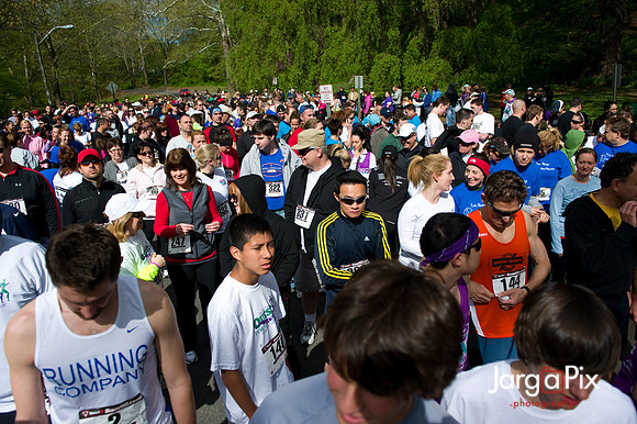 LLS_Quest_for_the_Cure_RunWalk-090