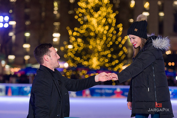 Sean_Adrie_Proposal_Bryant_Park-041