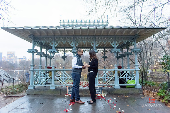 The_Heart_Bandits_Proposal_Basil_Jessica-107