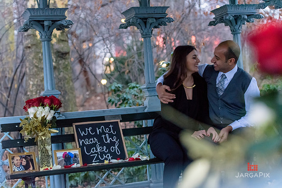 The_Heart_Bandits_Proposal_Basil_Jessica-133