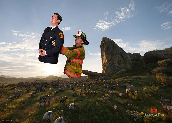 FLFD_Pride_Rock