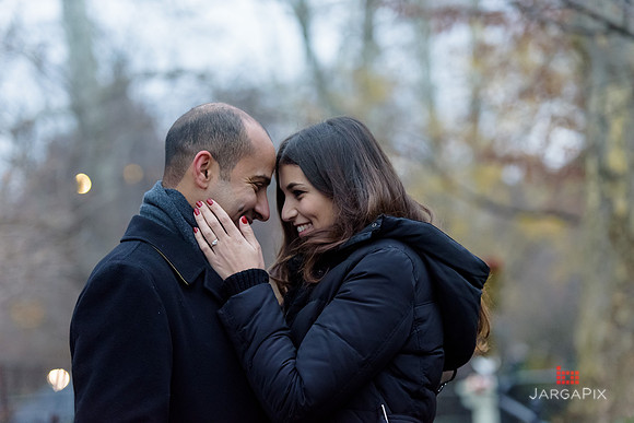 The_Heart_Bandits_Proposal_Basil_Jessica-081