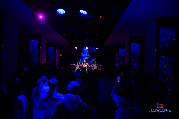 Moonlight_Studios_Opening-256