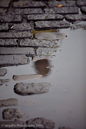 NYC_PhotogShootout-003.jpg