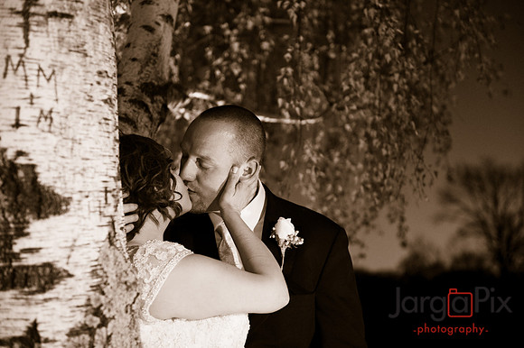 Josh_Megan_Stuhrmann_Wedding-0458
