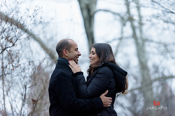 The_Heart_Bandits_Proposal_Basil_Jessica-089