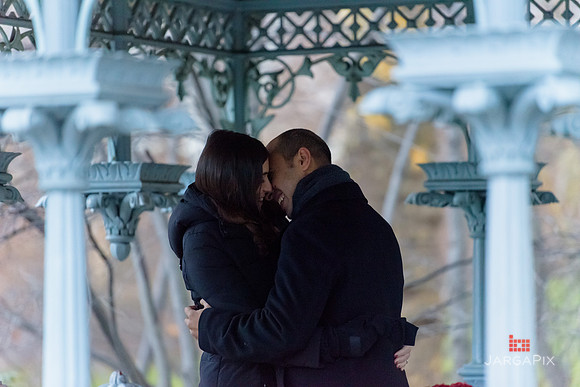 The_Heart_Bandits_Proposal_Basil_Jessica-051