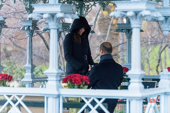 The_Heart_Bandits_Proposal_Basil_Jessica-043