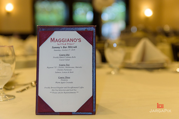 Sammy_Gerard_Barmitzvah-0109
